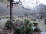 IMG_4167.jpg