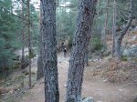 IMG_4180.jpg