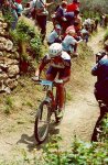 cicba04.jpg
