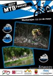 Cartel_2017_final - copia.jpg