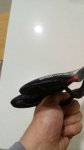IMG_20170112_072816.jpg