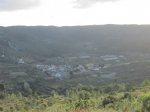IMG_3565.JPG