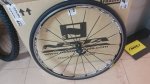 20170112_132051.jpg