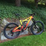 Jared Graves 2017 Enduro S-Works 650b Large.jpeg