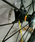 IMG_20170115_130617.jpg
