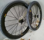 IMG_20170115_130514.jpg