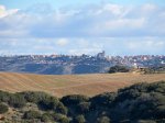 IMG_4251-Santos de la Humosa.jpg