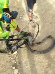 IMG-20161120-WA0017.jpg
