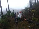 IMG_20170116_103934.jpg