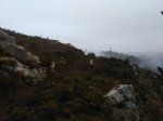 IMG_20170116_115238.jpg