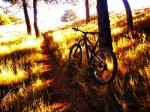 IMG_20170117_191336_562.jpg
