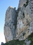 IMG_3376 (Copy) (Copy).jpg
