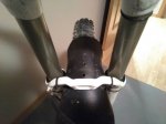 IMG_20170119_070836.jpg