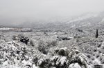 DSC_1084.jpg