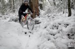 DSC_1139.jpg