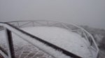 IMG-20170119-WA0017.jpg