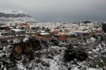 IMG_6557.jpg