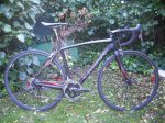 IMG-20170120-WA0029.jpg