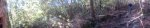 Panorama 1.JPG