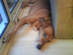 DSC00056.jpg