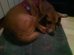 DSC00063.jpg