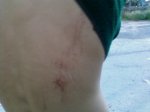 Foto0308.jpg