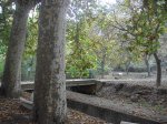 Imagen 036.jpg
