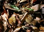 DSCN3076.JPG