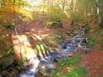 DSCN3078.JPG