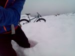 IMG_20170121_115054.jpg