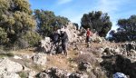 IMG_20170121_120424.jpg