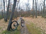 IMG_20170121_100035.jpg