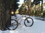 IMG_20170121_110422.jpg