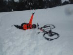 IMG-20170121-WA0049.jpg