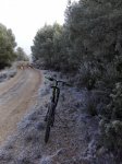 Zarza05.jpg
