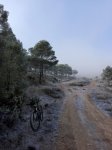 Zarza07.jpg