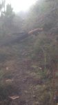 IMG-20170123-WA0000.jpg