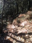 IMG_20170124_111246.jpg