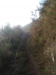 IMG_20170124_102450.jpg