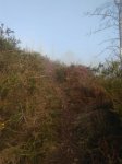 IMG_20170124_102422.jpg