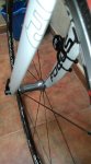 IMG-20170125-WA0019.jpg