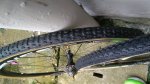 IMG-20170104-WA0002.jpeg