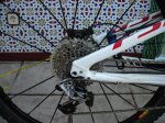 DSCN7463.JPG