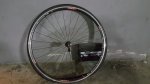 20170128_145556.jpg