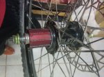 IMG_20170128_212953.jpg