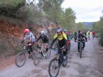 IMG_6558 (Copiar).JPG
