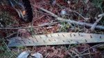 IMG-20170129-WA0003.jpg