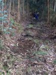 IMG-20170129-WA0010_528x704.jpg