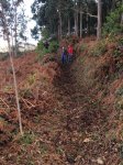 IMG-20170129-WA0012_528x704.jpg