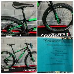 wilier.503.plus.jpg